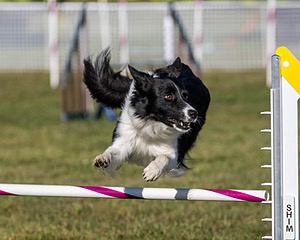 20230917-PVKC-2059.jpg