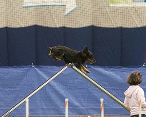 20150321-LEAP-1309.jpg