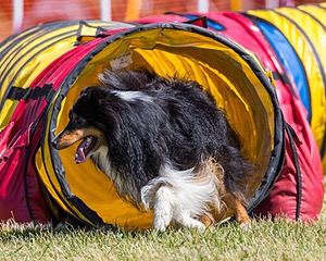 20180617-0568.jpg