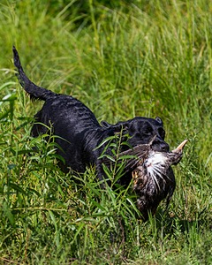 20160717-WCXW-0039.jpg