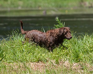 20130602-SEAW-0515.jpg