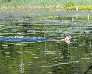 20220604-SHW-1947.jpg