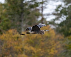 20261011-C-0008.jpg
