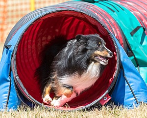 20160619-CCKC-0558.jpg