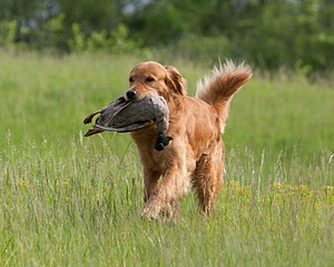 20080531-HRL-0077.jpg