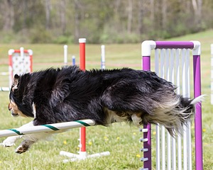 20160514-NEAT-1045.jpg