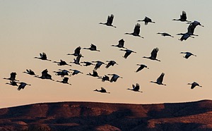 20151205-1044.jpg