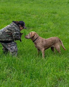 20170603-SHRL-0778.jpg