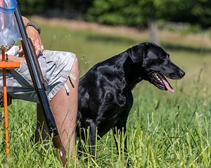 Reba CALLNAME HANDLER