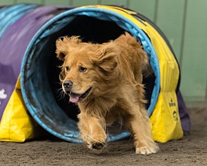 Pup-Pup Beaulieu