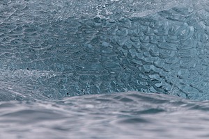 20260321-0188.jpg