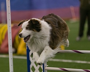 20150321-LEAP-0306.jpg