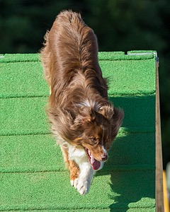 20160618-CCKC-2458.jpg