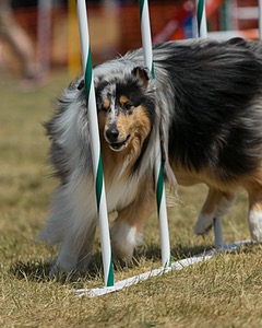 20150614-CCKC-1715.jpg