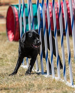 20160618-CCKC-1635.jpg