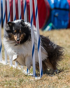 20160618-CCKC-1822.jpg