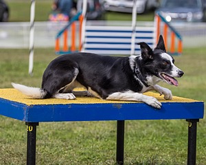 20230916-PVKC-0699.jpg