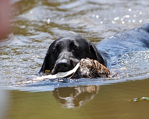 20130714-MHB2-0117.jpg
