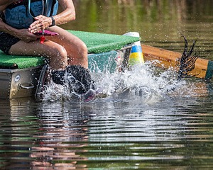 Rory Cox