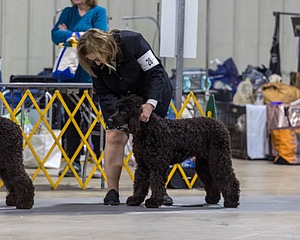 20260228-0065.jpg