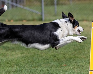 20200819-0534.jpg