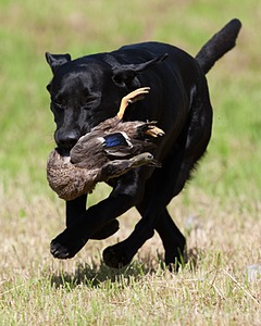 20130602-SEAL-0201.jpg