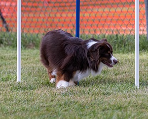 20200819-2811.jpg