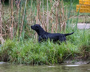 20150913-SEAW-0680.jpg