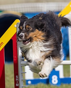 20230916-PVKC-1389.jpg
