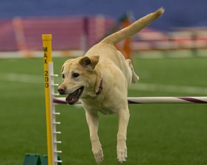 20150321-LEAP-0918.jpg