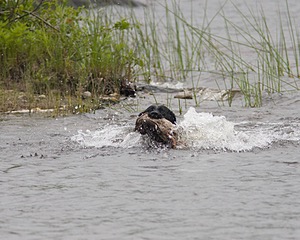 20080531-HRW-0570.jpg
