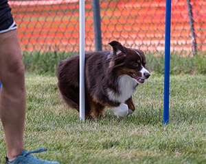 20200819-2812.jpg