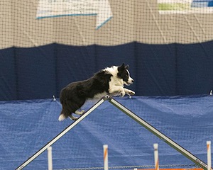 20150321-LEAP-0941.jpg