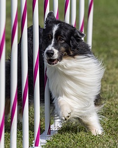 20230916-PVKC-1201.jpg