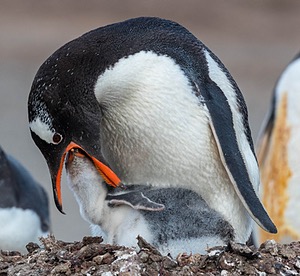 20191211-0075-Edit.jpg