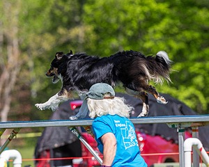 20170520-NEAT-0601.jpg