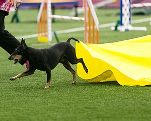 20150322-LEAP-0276.jpg