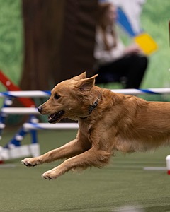 20260221-0853.jpg