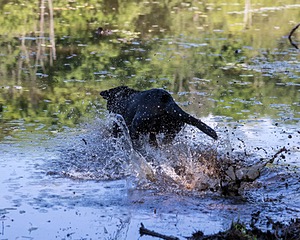 20220604-SHW-2252.jpg