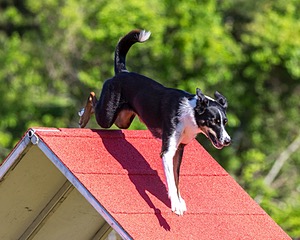 20190615-CCKC-0070.jpg