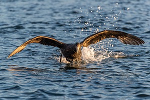 20191212-0877.jpg