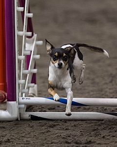 20250615-CCM-0516.jpg