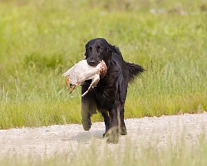 20080531-HRL-0237.jpg