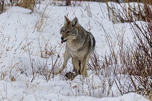 20220205-1110.jpg