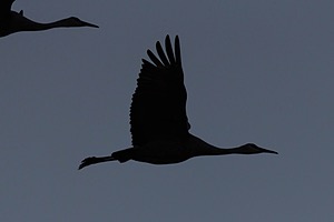 20151205-1300.jpg