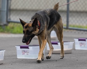 20260718-NSKC-0420.jpg