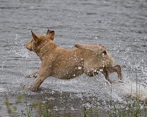 20080531-HRW-0020.jpg