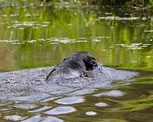 20130714-MHB2-0125.jpg