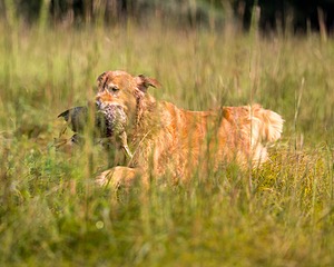20210807-SHL-0144.jpg