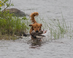 20080531-HRW-0766.jpg
